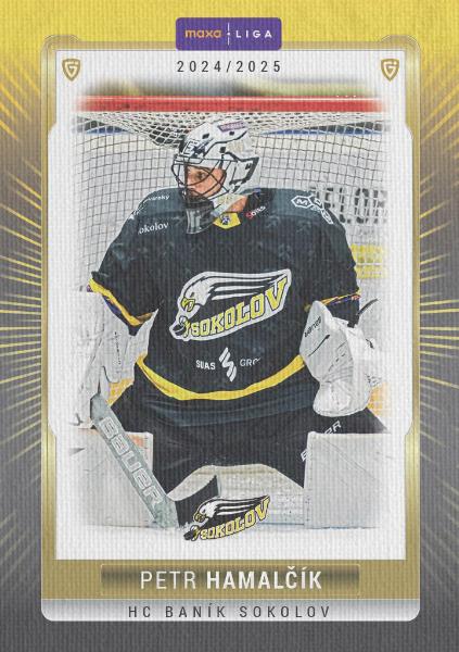 Hamalčík Petr 24-25 GOAL Cards Maxa liga Canvas #SOK-03