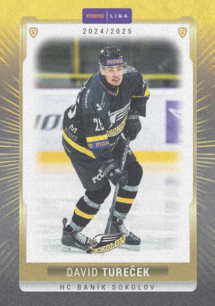 Tureček David 24-25 GOAL Cards Maxa liga Sand #SOK-04
