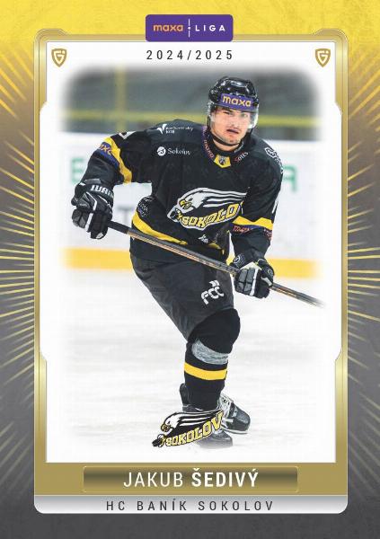 Šedivý Jakub 24-25 GOAL Cards Maxa liga #SOK-05