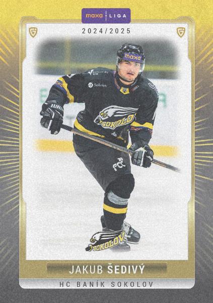 Šedivý Jakub 24-25 GOAL Cards Maxa liga Sand #SOK-05