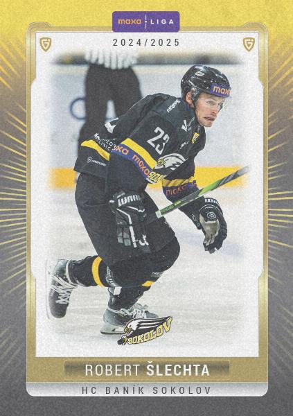 Šlechta Robert 24-25 GOAL Cards Maxa liga Sand #SOK-16