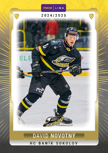 Novotný David 24-25 GOAL Cards Maxa liga #SOK-32