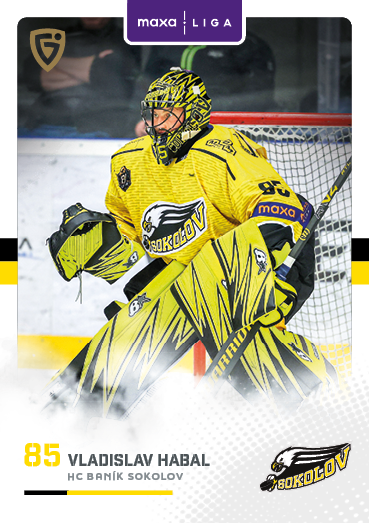 Habal Vladislav 25-26 GOAL Cards Maxa liga #SOK-01