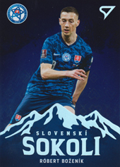 Boženík Róbert 2021 Slovenskí Sokoli Slovenskí Sokoli #SS15