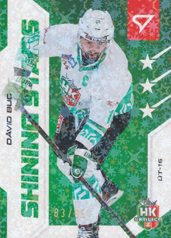 Buc Dávid 24-25 Slovenská hokejová liga Shining Stars Parallel #SS-09