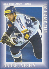 Veselý Ondřej 04-05 OFS Plus Statistika Góly #15