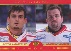 Hamerlík Vojtek 2011 OFS Premium Tandems Silver #2