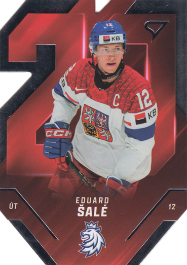 Šalé Eduard 2025 Hokejové Česko Team 20 #TE-21