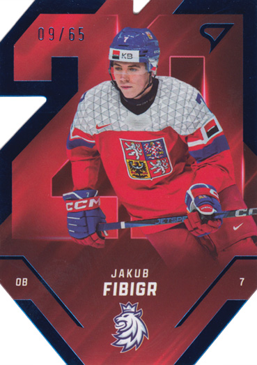 Fibigr Jakub 2025 Hokejové Česko Team 20 Blue #TE-05