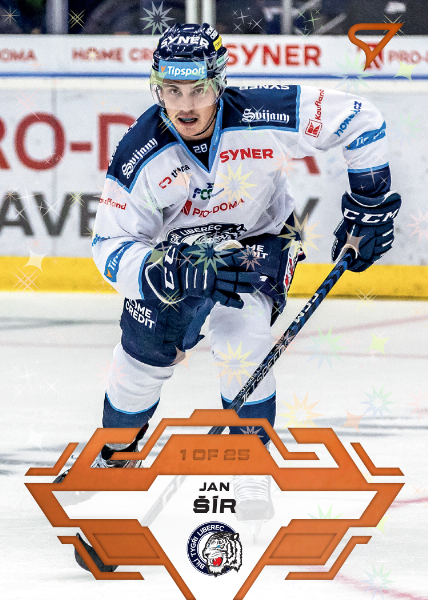 Šír Jan 23-24 Tipsport Extraliga Copper #107