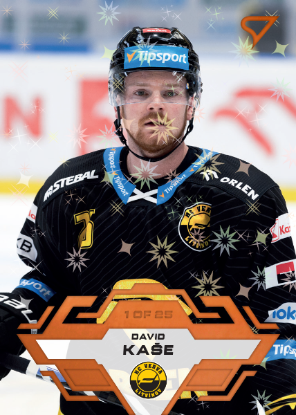 Kaše David 23-24 Tipsport Extraliga Copper #192