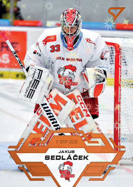 Sedláček Jakub 23-24 Tipsport Extraliga Copper #128