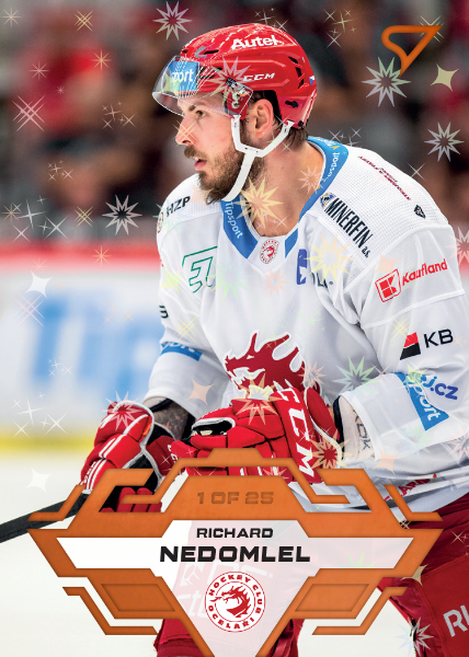 Nedomlel Richard 23-24 Tipsport Extraliga Copper #5