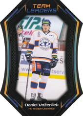 Voženílek Daniel 18-19 Premium Cards Team Leaders Die Cut #TL-10