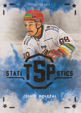 Doležal Zdeněk 24-25 GOAL Cards Maxa liga Statistics #TOP-17