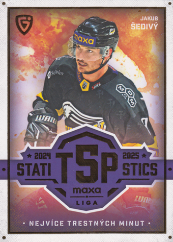 Šedivý Jakub 25-26 GOAL Cards Maxa liga Statistics #TOP-23