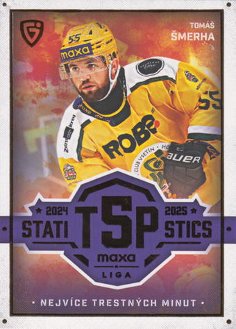 Šmerha Tomáš 25-26 GOAL Cards Maxa liga Statistics #TOP-24