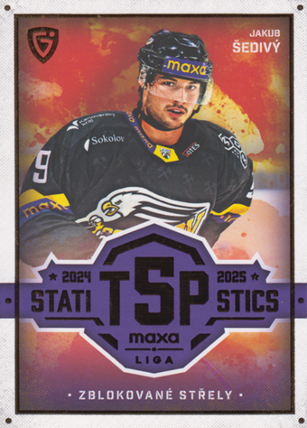 Šedivý Jakub 25-26 GOAL Cards Maxa liga Statistics #TOP-27
