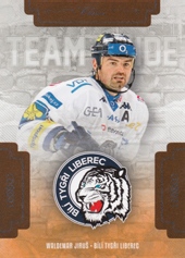 Jiruš Valdemar 19-20 OFS Classic Team Pride #TP-WJI