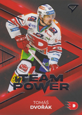 Dvořák Tomáš 23-24 Tipsport Extraliga Team Power #TP-07