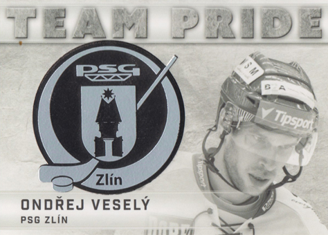 Veselý Ondřej 15-16 OFS Classic Team Pride #TP-22