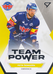 Šenkeřík Petr 21-22 Tipsport Extraliga Team Power #TP-40
