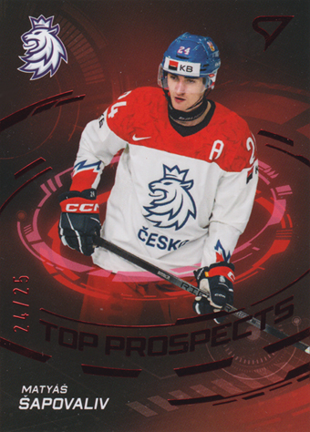 Šapovaliv Matyáš 2024 Hokejové Česko Top Prospects Limited #TP-9