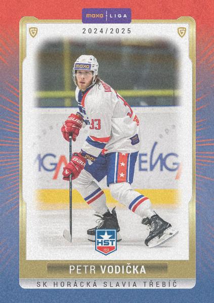 Vodička Petr 24-25 GOAL Cards Maxa liga Sand #TRE-06