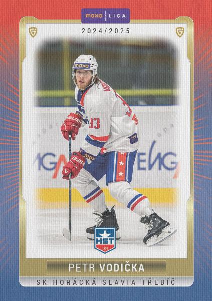 Vodička Petr 24-25 GOAL Cards Maxa liga Canvas #TRE-06