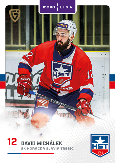 Michálek David 25-26 GOAL Cards Maxa liga #TRE-13