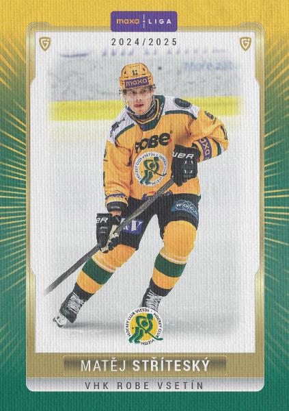 Stříteský Matěj 24-25 GOAL Cards Maxa liga Canvas #VSE-04
