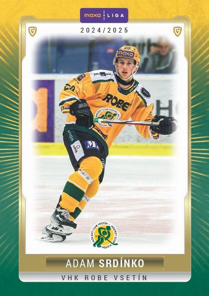 Srdínko Adam 24-25 GOAL Cards Maxa liga #VSE-10