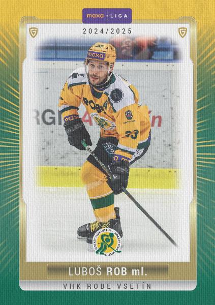Rob Luboš 24-25 GOAL Cards Maxa liga Canvas #VSE-12