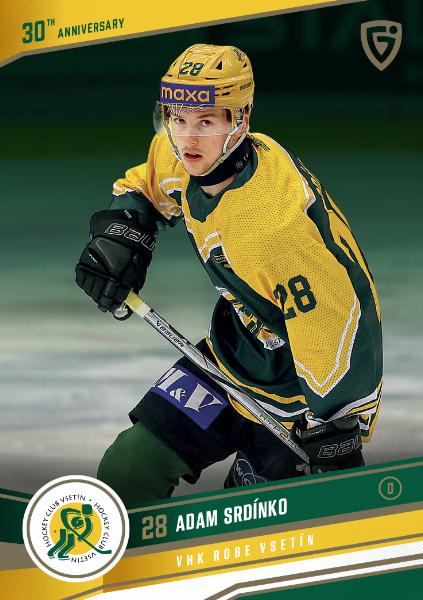 Srdínko Adam 24-25 GOAL Cards Maxa liga 30 let od Finále  #VS-12