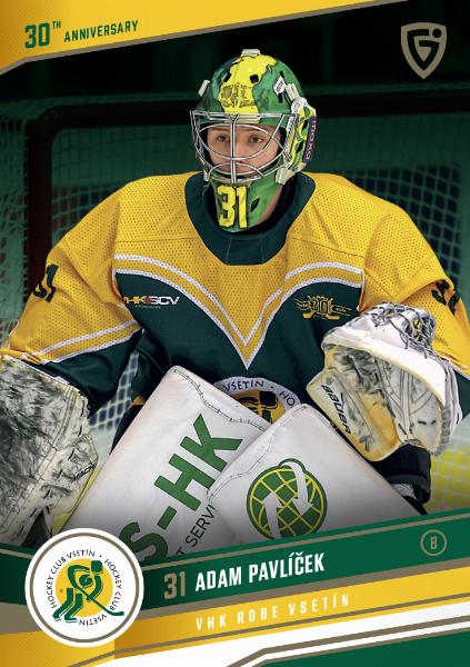 Pavlíček Adam 24-25 GOAL Cards Maxa liga 30 let od Finále  #VS-13