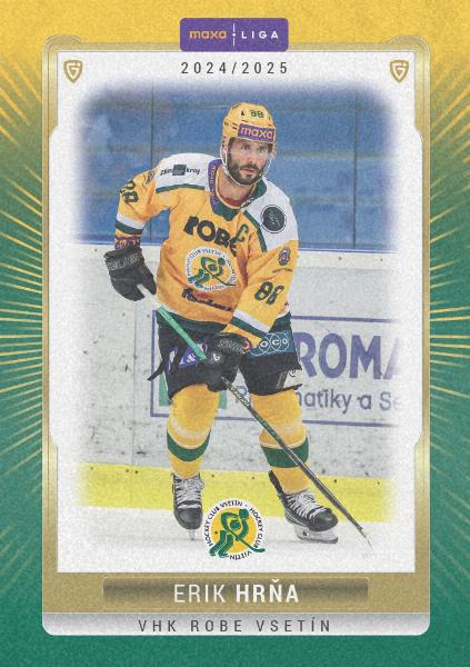 Hrňa Erik 24-25 GOAL Cards Maxa liga Sand #VSE-15