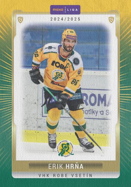 Hrňa Erik 24-25 GOAL Cards Maxa liga Canvas #VSE-15