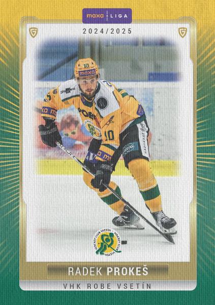 Prokeš Radek 24-25 GOAL Cards Maxa liga Canvas #VSE-16