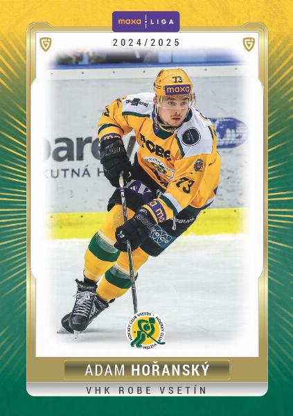 Hořanský Adam 24-25 GOAL Cards Maxa liga #VSE-21