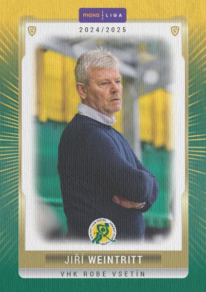 Weintritt Jiří 24-25 GOAL Cards Maxa liga Canvas #VSE-26