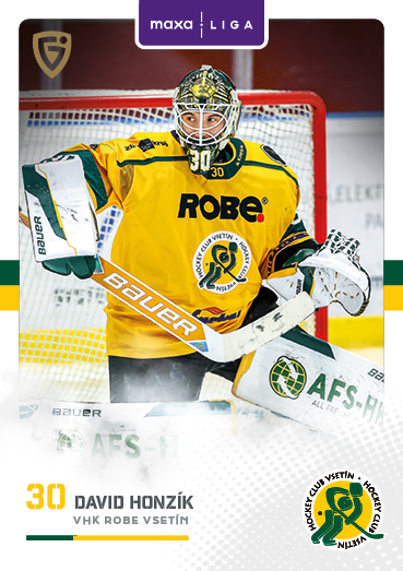 Honzík David 25-26 GOAL Cards Maxa liga #VSE-01