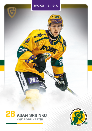 Srdínko Adam 25-26 GOAL Cards Maxa liga #VSE-06