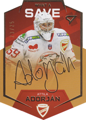 Adorján Attila 20-21 Tipos Extraliga What a Save Limited #WS-12