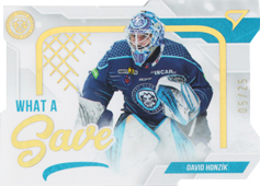 Honzík David 22-23 Tipos Extraliga What a Save Limited #WS-03