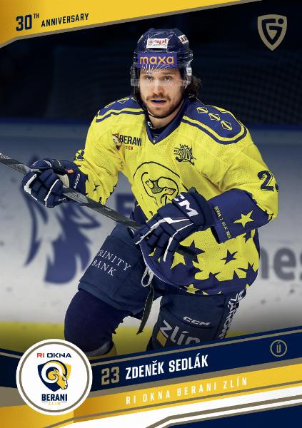 Sedlák Zdeněk 24-25 GOAL Cards Maxa liga 30 let od Finále  #ZL-07