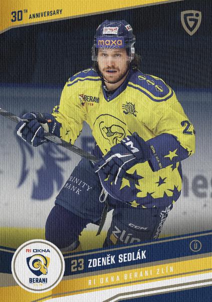 Sedlák Zdeněk 24-25 GOAL Cards Maxa liga 30 let od Finále Canvas #ZL-07