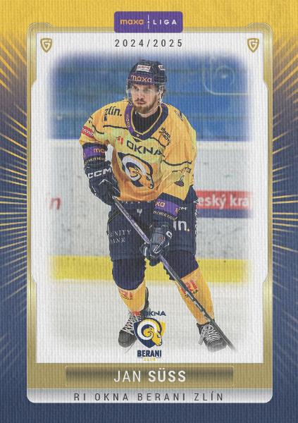 Süss Jan 24-25 GOAL Cards Maxa liga Canvas #ZLI-12