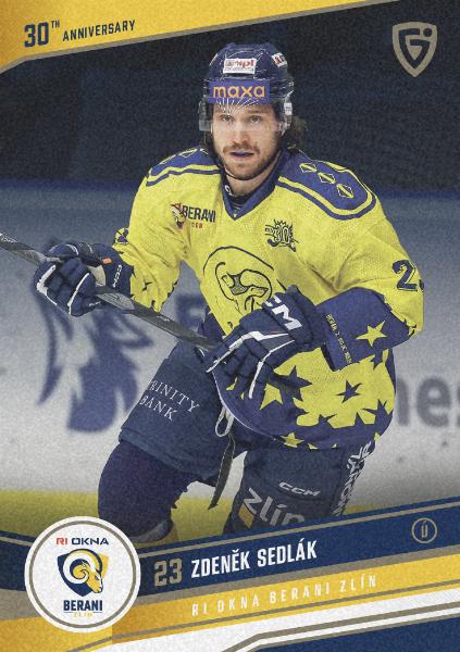 Sedlák Zdeněk 24-25 GOAL Cards Maxa liga 30 let od Finále Sand #ZL-07